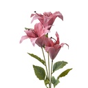 Deko Ast mit Blumen Rosa Grün 15x10x72 cm