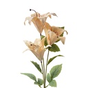 Branche de décoration avec fleurs Beige Vert 15x10x72 cm