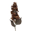 Rami Artificiali Decorativi con fiori Marrone Verde 8x8x72 cm