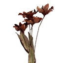 Branche de décoration avec fleurs Orange Vert 8x5x60 cm