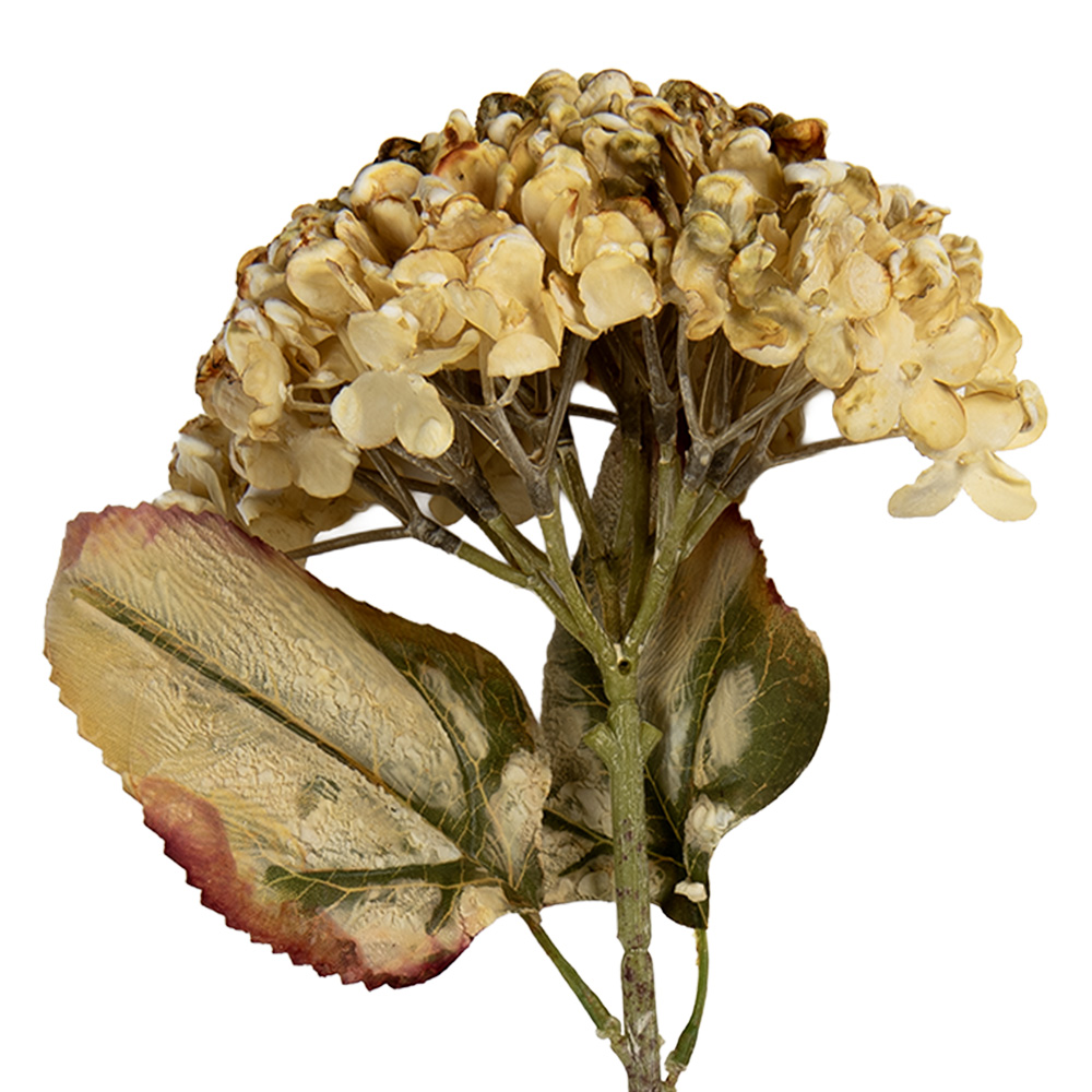 [6PL0404BE] Branche de décoration avec fleurs Beige Vert 15x15x47 cm