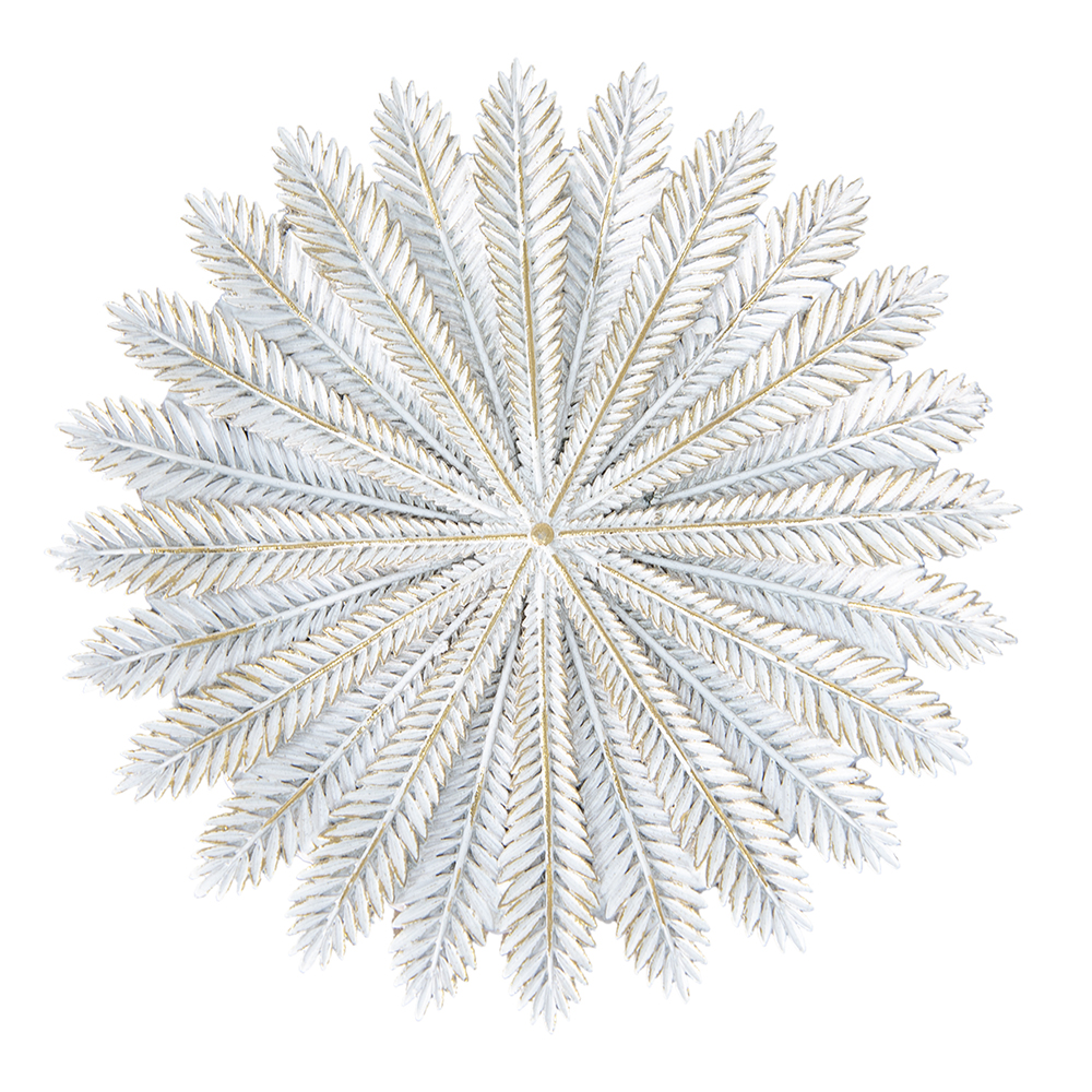 [6PR4776] Decoratieve schaal Ø 20x2 cm