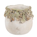 Vaso Porta Pianta Beige Verde Ø 15x13 cm