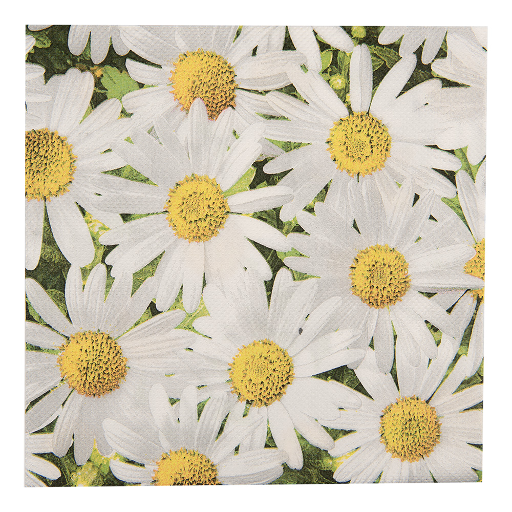 [73076] Paper napkins White Yellow 33x33 cm (20)