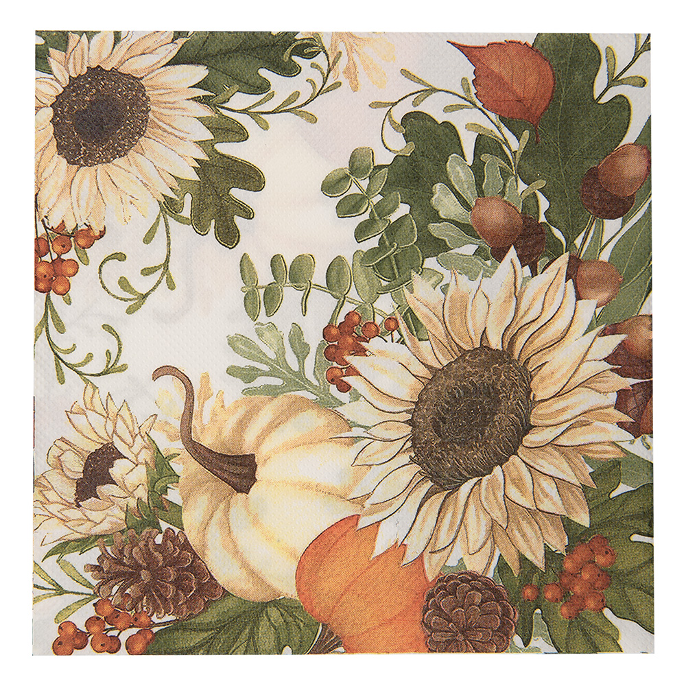 [73082] Papieren servetten 33x33 cm (20)