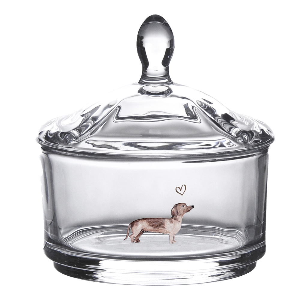 [DHLGL0004] Couvercle de marmite Transparent Ø 9x9 cm