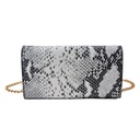 Dame Tasche Silberfarbig 18x10x5 cm / Ø 13 cm