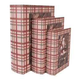[6H2465] Doos in boekvorm (3) 27x22x7 / 22x17x6 / 18x13x4 cm
