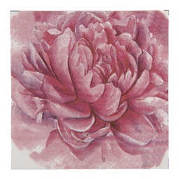 [73123] Serviettes en papier Rose Blanc 33x33 cm (20)
