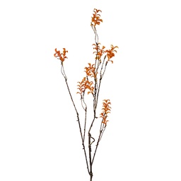 [5PL0184] Rami Artificiali Decorativi Arancio Marrone 18x5x110 cm
