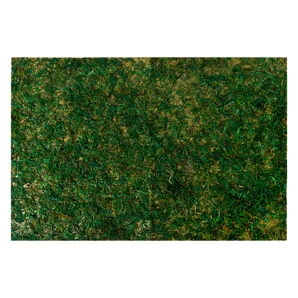Tapis de Mousse Vert 60x40x1 cm