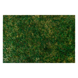 [66121] Tappetino di Muschio Verde 60x40x1 cm