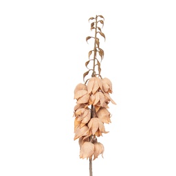 [5PL0257LP] Branche de décoration avec fleurs Brun 12x12x100 cm