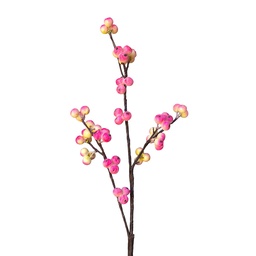 [5PL0342] Branche de décoration Rouge 85 cm