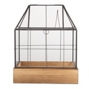 Decorative Propagator Transparent Brown 26x17x32 cm