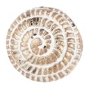 Doorknob Brown Beige Ø 4x4 cm / S3 cm