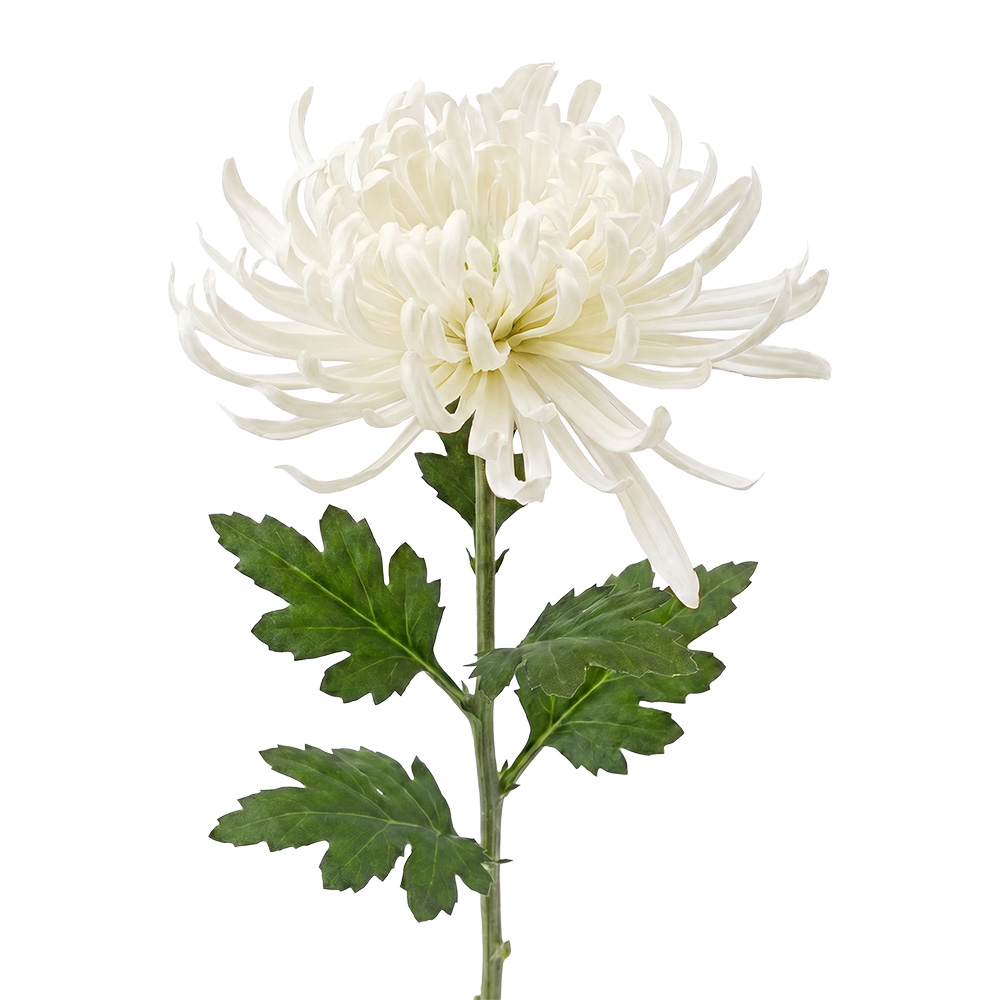 Decorative branch with flowers White Green 76 cm