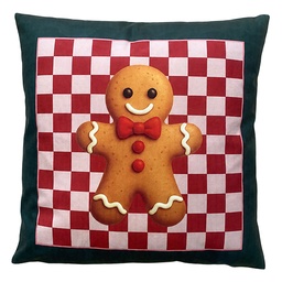 [KG023.227] Kissen Grün Rot 45x45x4 cm