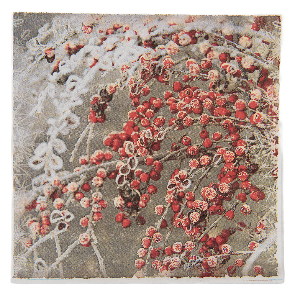 Tovaglioli di carta Marrone Rosso 33x33 cm (20)