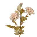 Rami Artificiali Decorativi con fiori Beige 9x9x68 cm