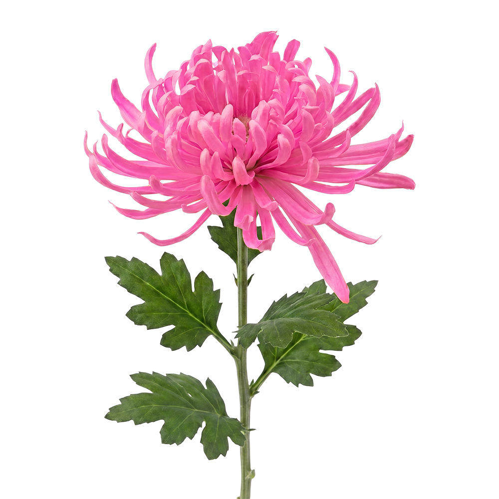 Decoratie tak met bloemen 76 cm