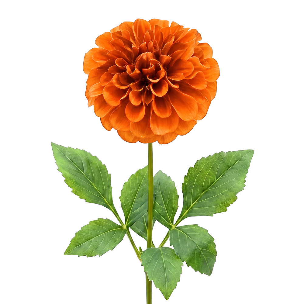 Decoratie tak met bloemen 65 cm