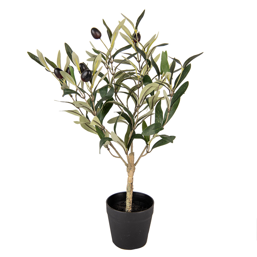 Decoratie olijf boom 15x15x50 cm