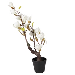 [5PL0206] Arbre Magnolia décoration Blanc Marron 16x14x60 cm