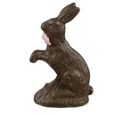 Image de décoration Lapin Marron 8x4x13 cm