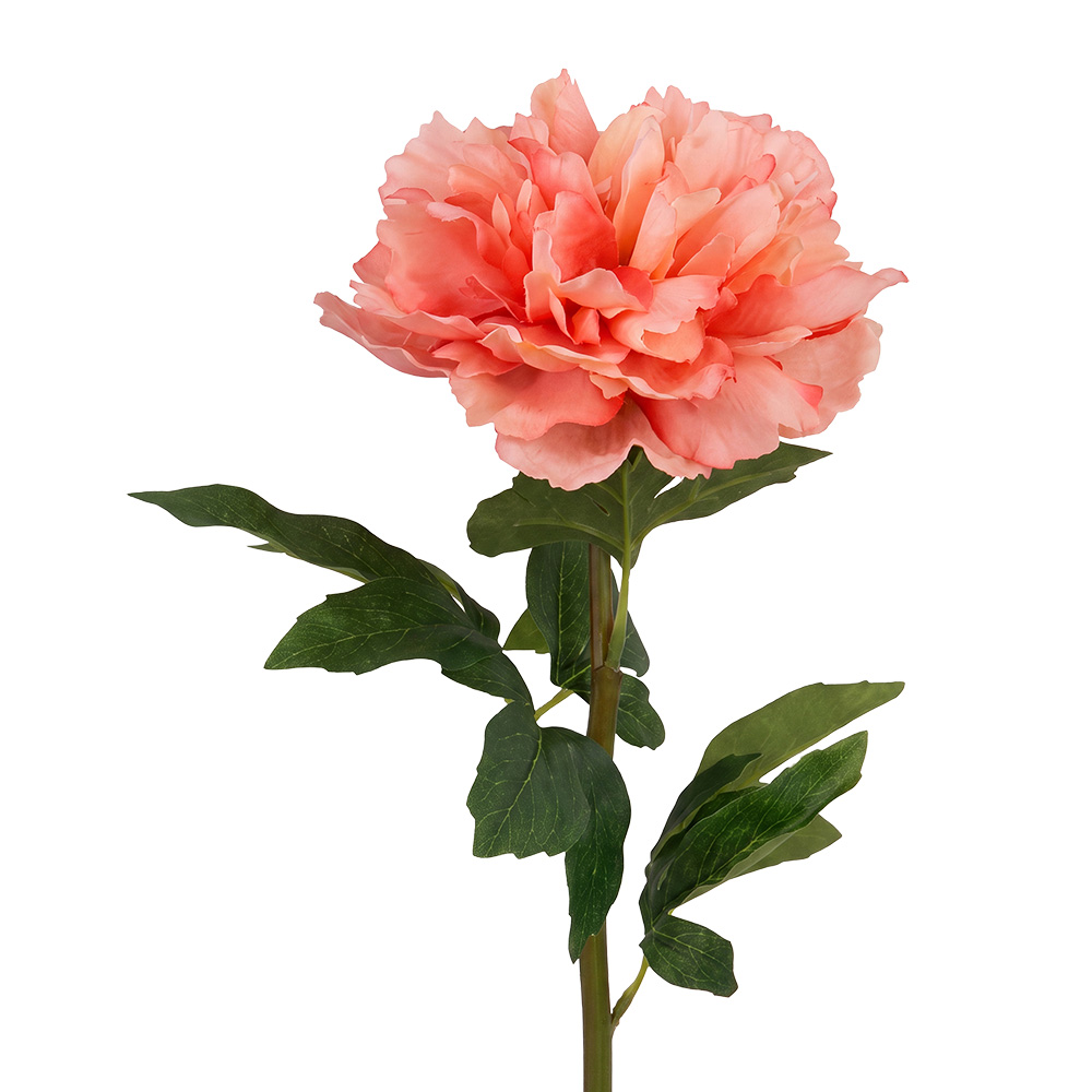 Decoratie tak met bloemen 52 cm