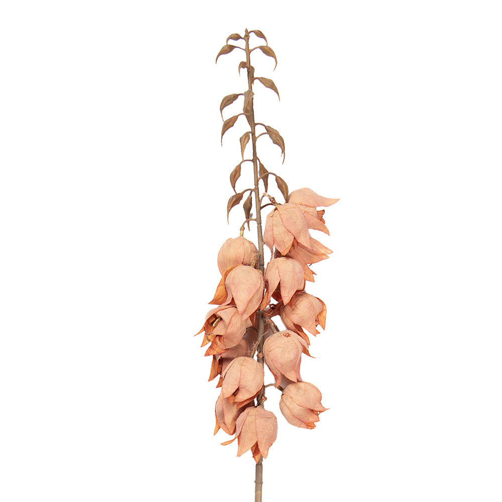 Decoratie tak met bloemen 12x12x100 cm