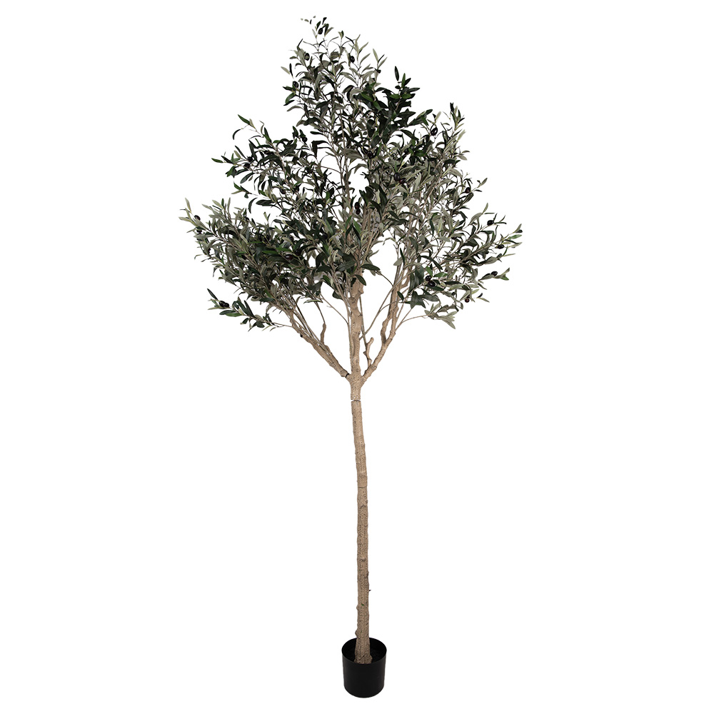 Arbre d'olivier décoration Vert Beige 120x80x240 cm