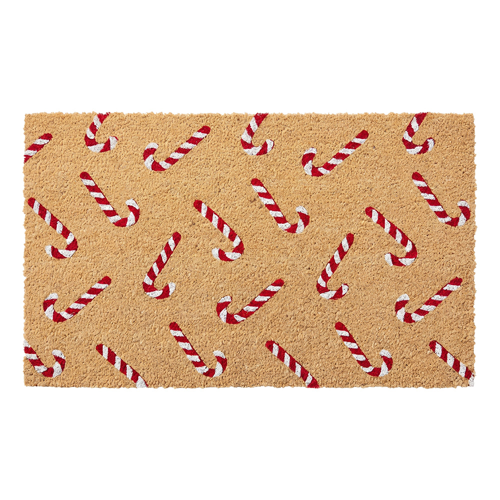 Doormat Inside Brown red 75x45x1 cm