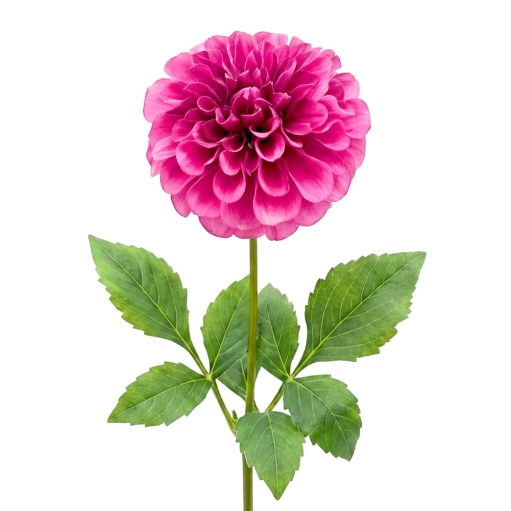Deko Ast mit Blumen Rosa Grün 42 cm