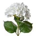 Fleur artificielle Blanc Vert 16x15x68 cm