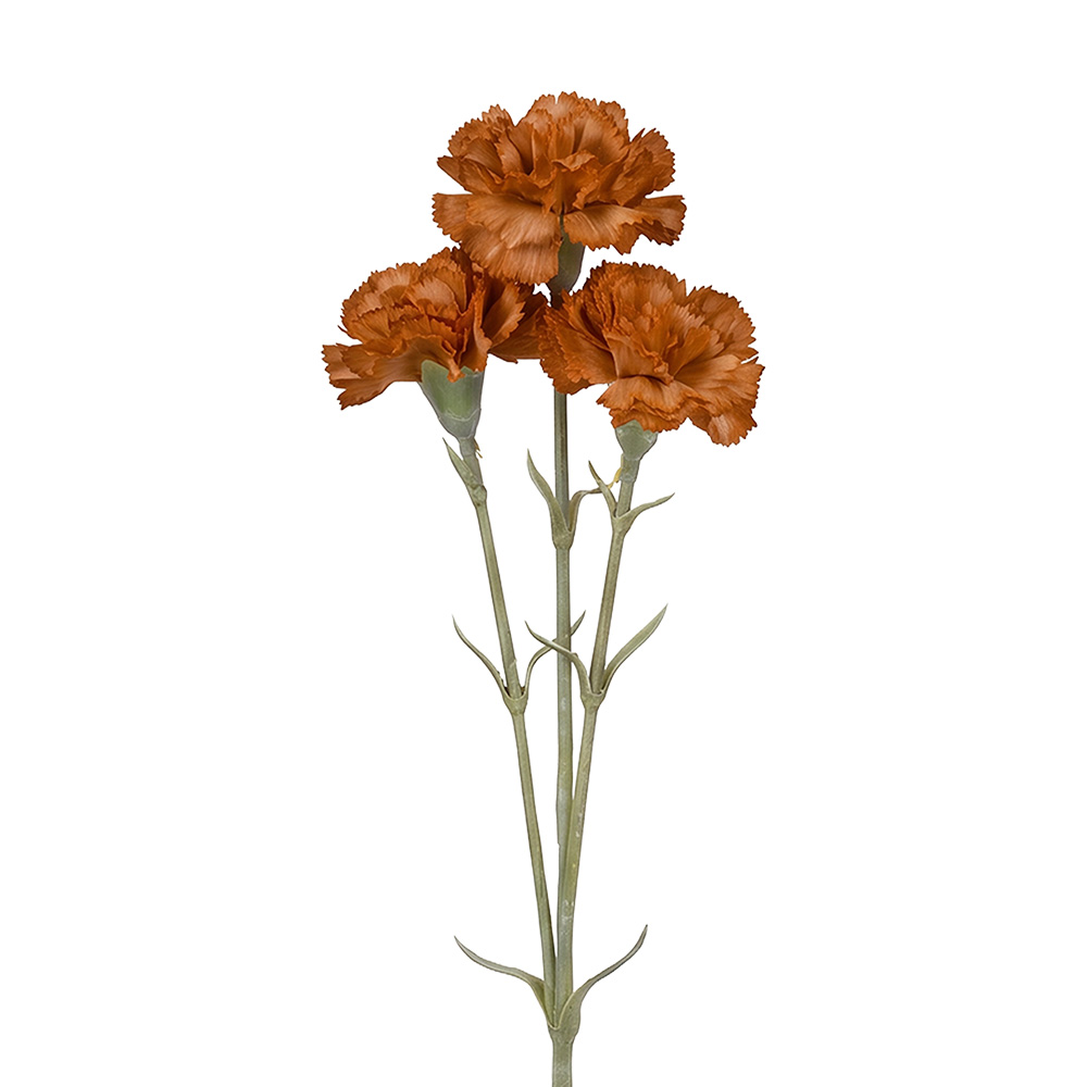 Branche décorative avec fleurs Marron Vert
