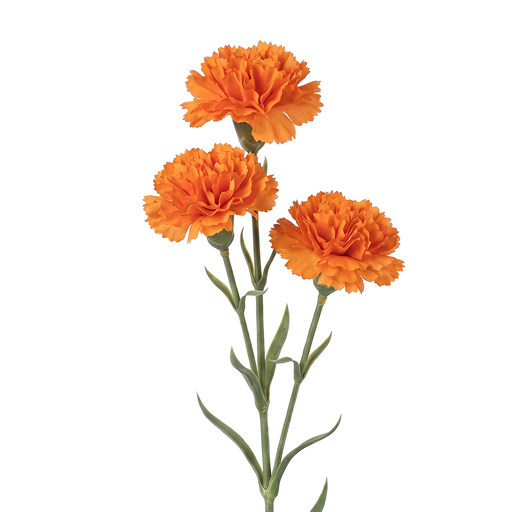 Branche décorative avec fleurs Orange Vert
