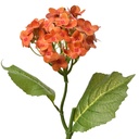 Fiori Finti Arancio Verde 19x10x37 cm