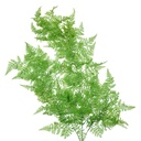 Rami Artificiali Decorativi Verde 10x5x80 cm