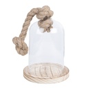 Glass Cloche Transparent Ø 12x19 cm