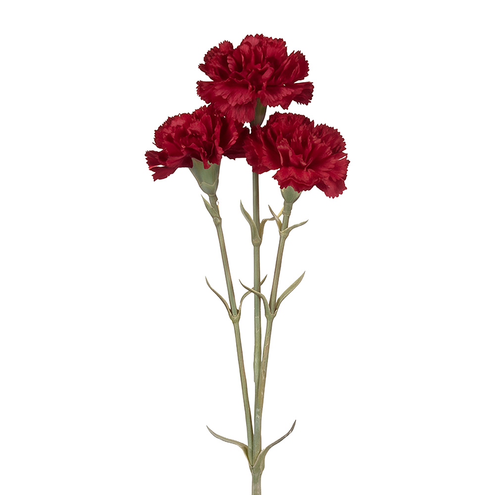 Branche décorative avec fleurs Rouge Vert