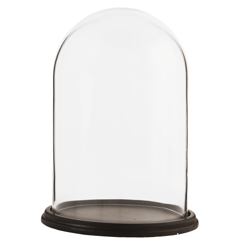Glass Cloche Transparent Ø 23x31 cm
