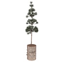 Arbre de décoration Vert Marron 14x14x60 cm