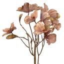 Fleur artificielle Beige 12x8x72 cm