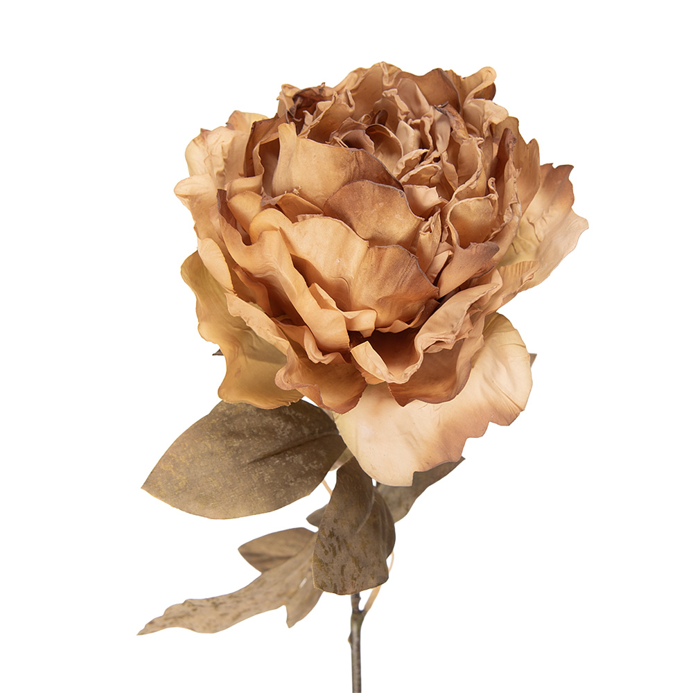 Artificial Flower Peony Beige Green 14x14x70 cm
