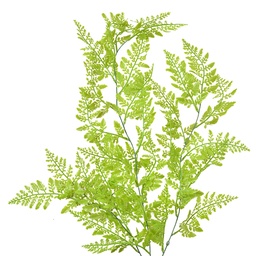 [5PL0070] Rami Artificiali Decorativi Verde 15x5x80 cm