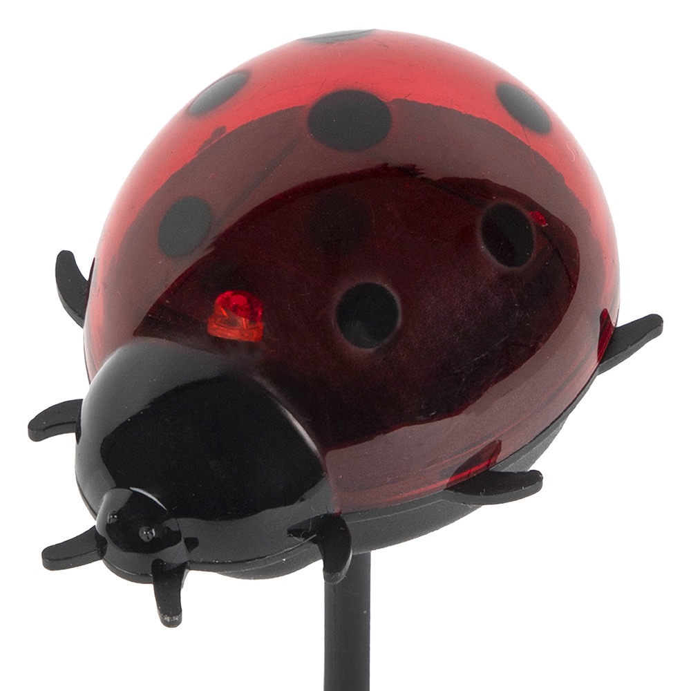 Gartenstecker Marienkäfer mit Solarenenergie Rot Schwarz 7x6x14 cm