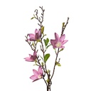 Deko Ast mit Blumen Rosa Grün 15x7x84 cm