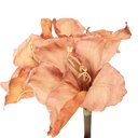 Fiori Finti Arancio Marrone 16x16x65 cm