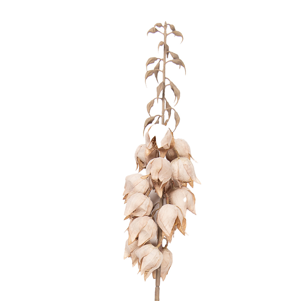 Decoratie tak met bloemen 12x12x100 cm